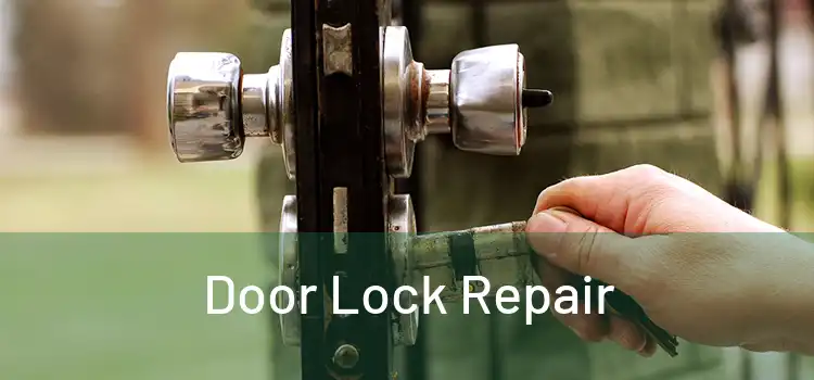 Door Lock Repair